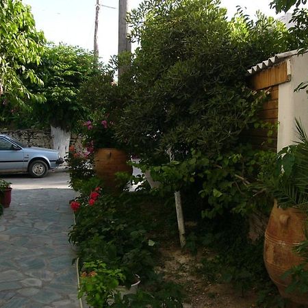 Oasis Studios Palaiochora Luaran gambar