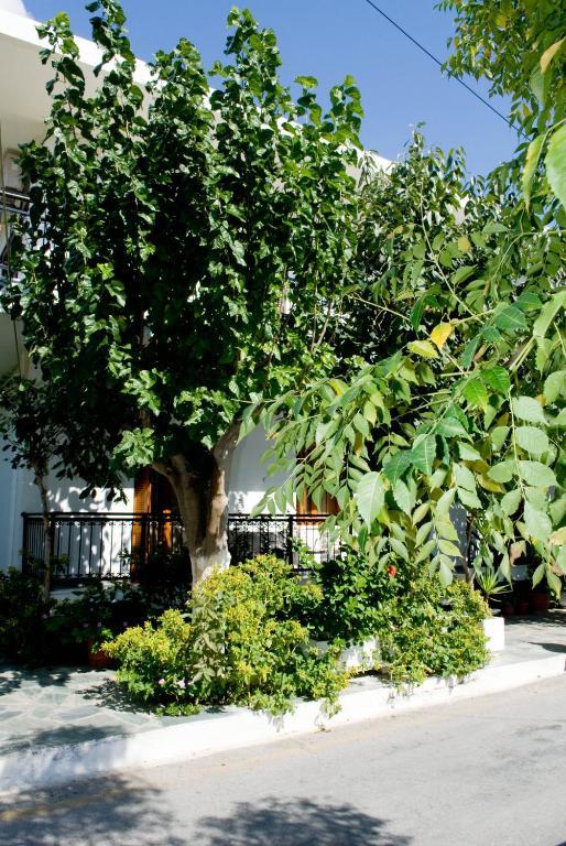 Oasis Studios Palaiochora Luaran gambar